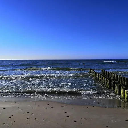 Jasienczyk מילנקו