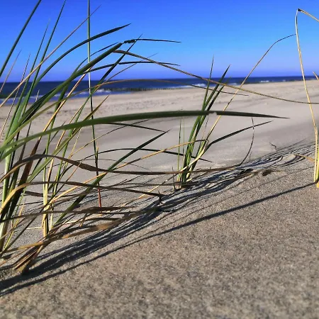 Апартаменты Jasienczyk *