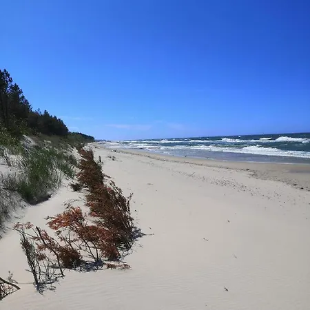 Jasienczyk Апартаменты *