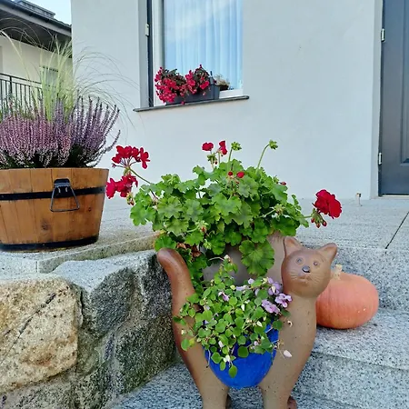 Apartman Jasienczyk Mielenko