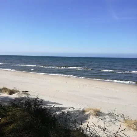 Jasienczyk * מילנקו