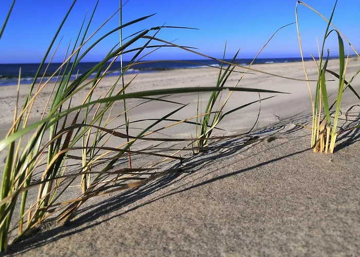 Apartment Jasienczyk *