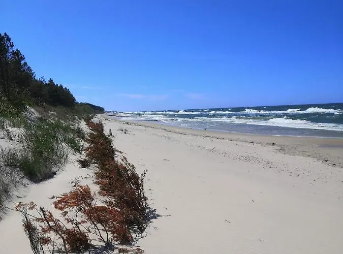 Jasienczyk Apartment *