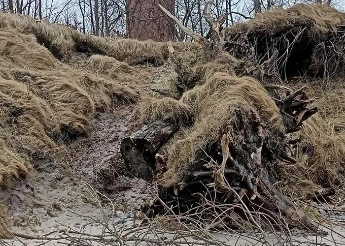 Jasienczyk Apartment