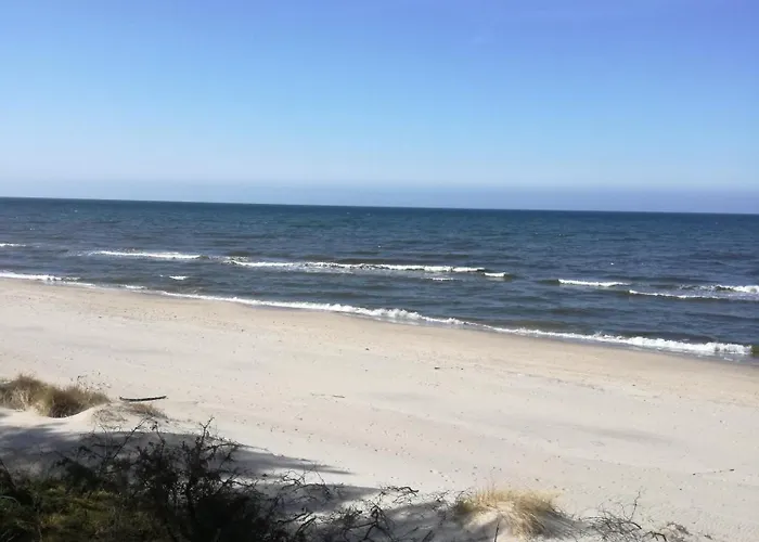 Jasienczyk * Mielenko